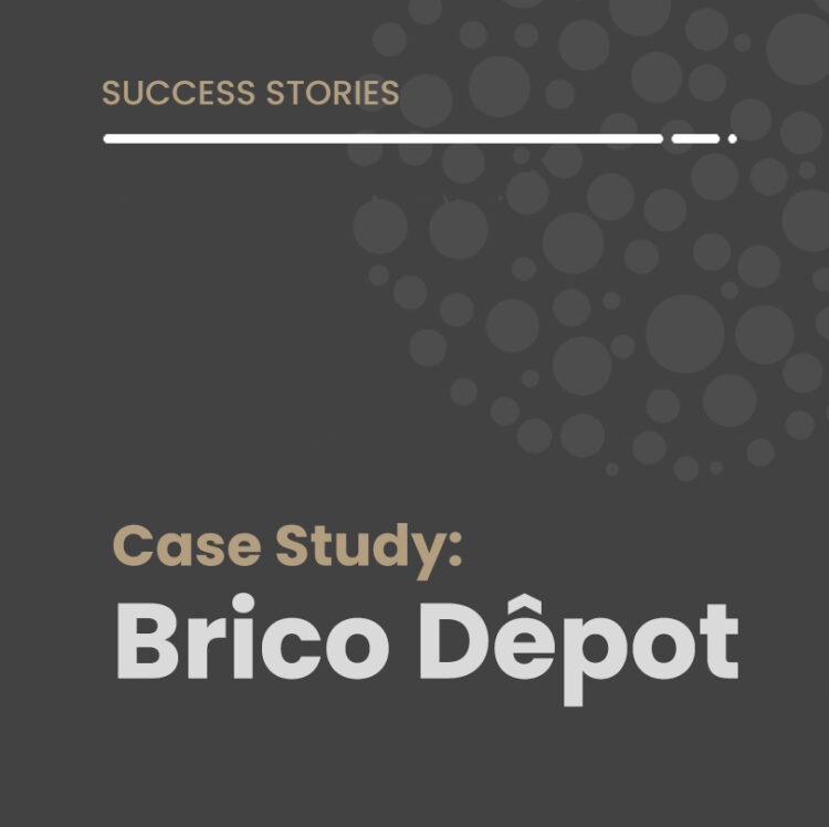 SEO Case Study: Brico Dêpot